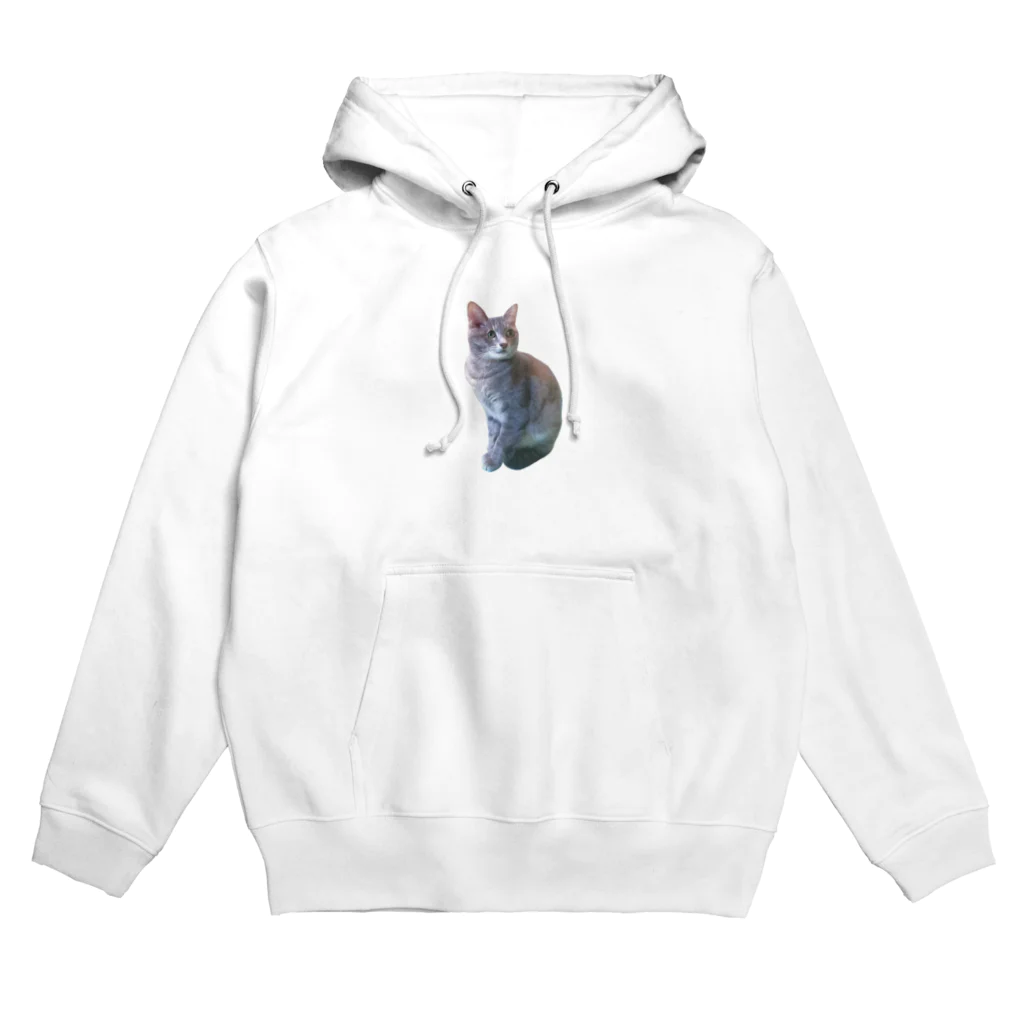 nico&ice storeの猫を被る Hoodie