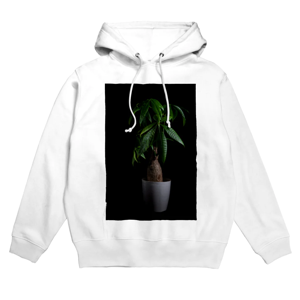 写真プリントのパキラ Hoodie