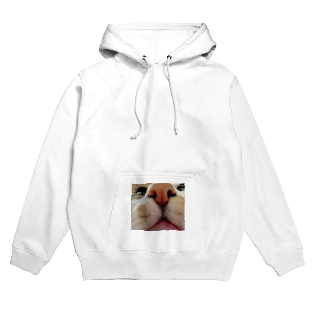 ねむたいこちぴらのおーちゃん Hoodie