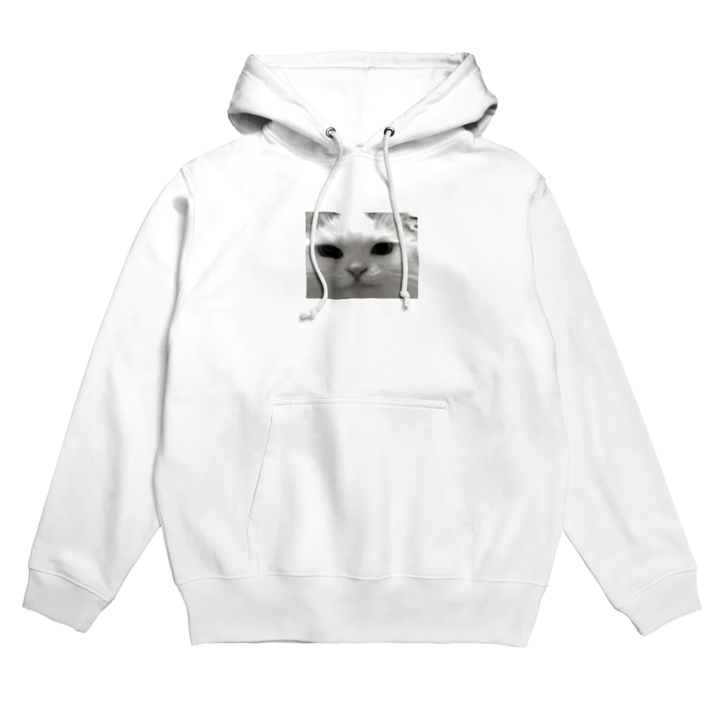 ぬくぬくおうどんショップのcrazy cat Hoodie