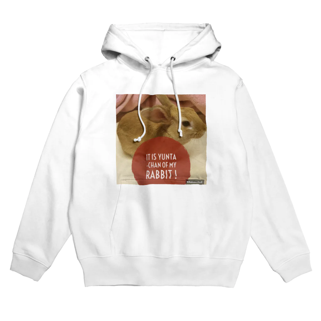 usagiの愛兎ゆんたちゃん０歳です。 Hoodie