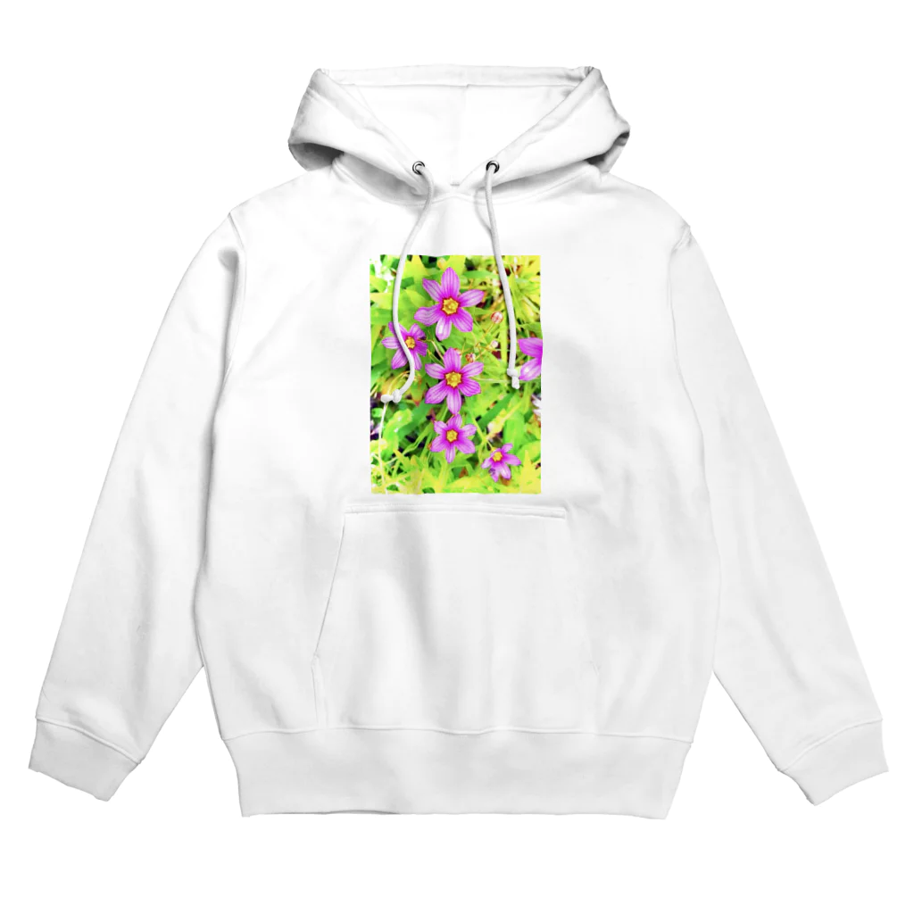 LalaHangeulの道端の花　ニワゼキショウ(カラフル) Hoodie