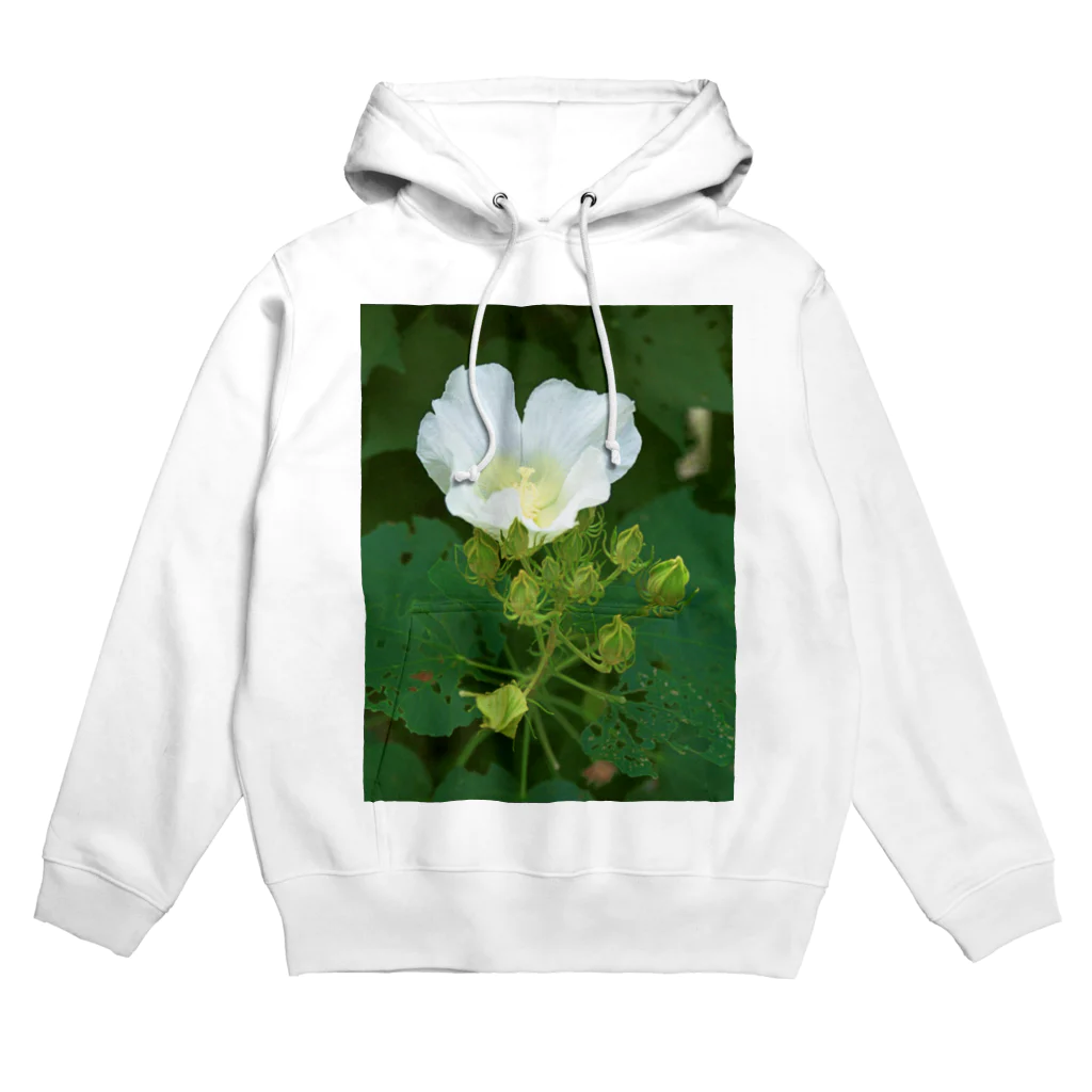 hiroki-naraの芙蓉 DATA_P_132　Confederate Rose ハスの花の古名 Hoodie