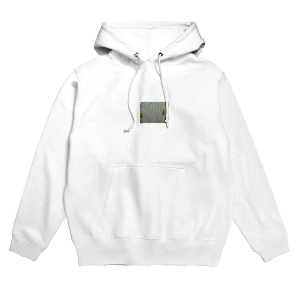 レモンタイムの庭の田植え Hoodie