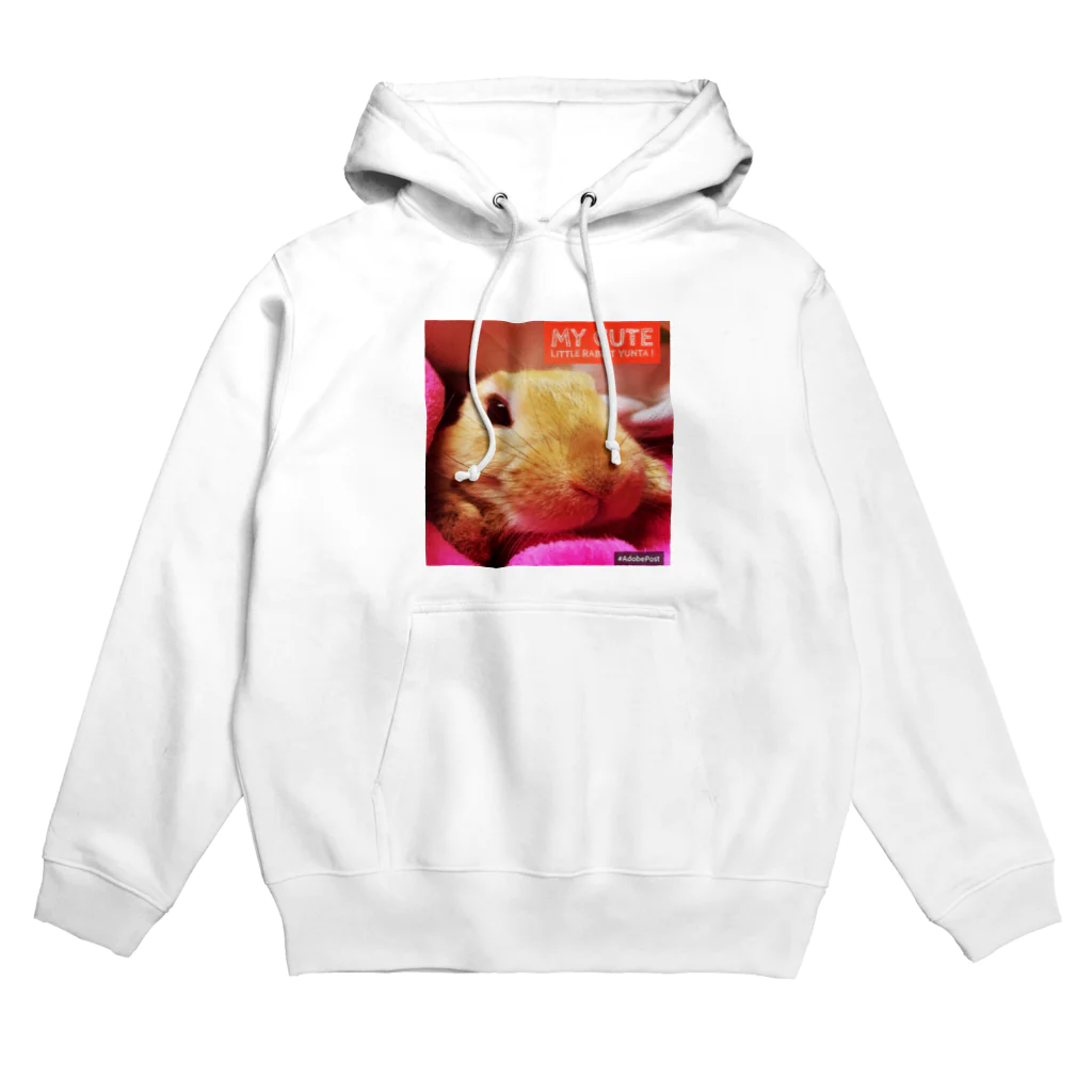 usagiの自宅のうさぎのゆんた王子０歳 Hoodie