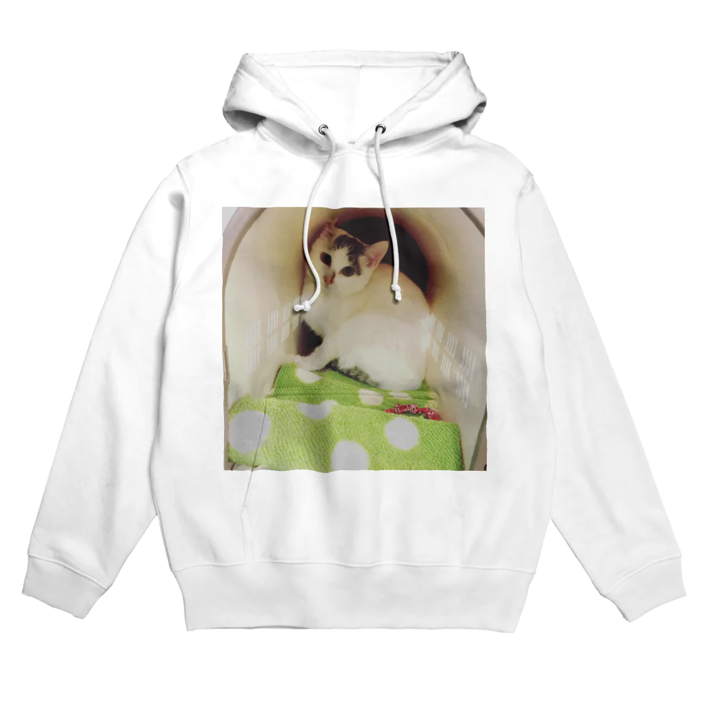 ねこまる広場の新しい家族☆おもち君 Hoodie