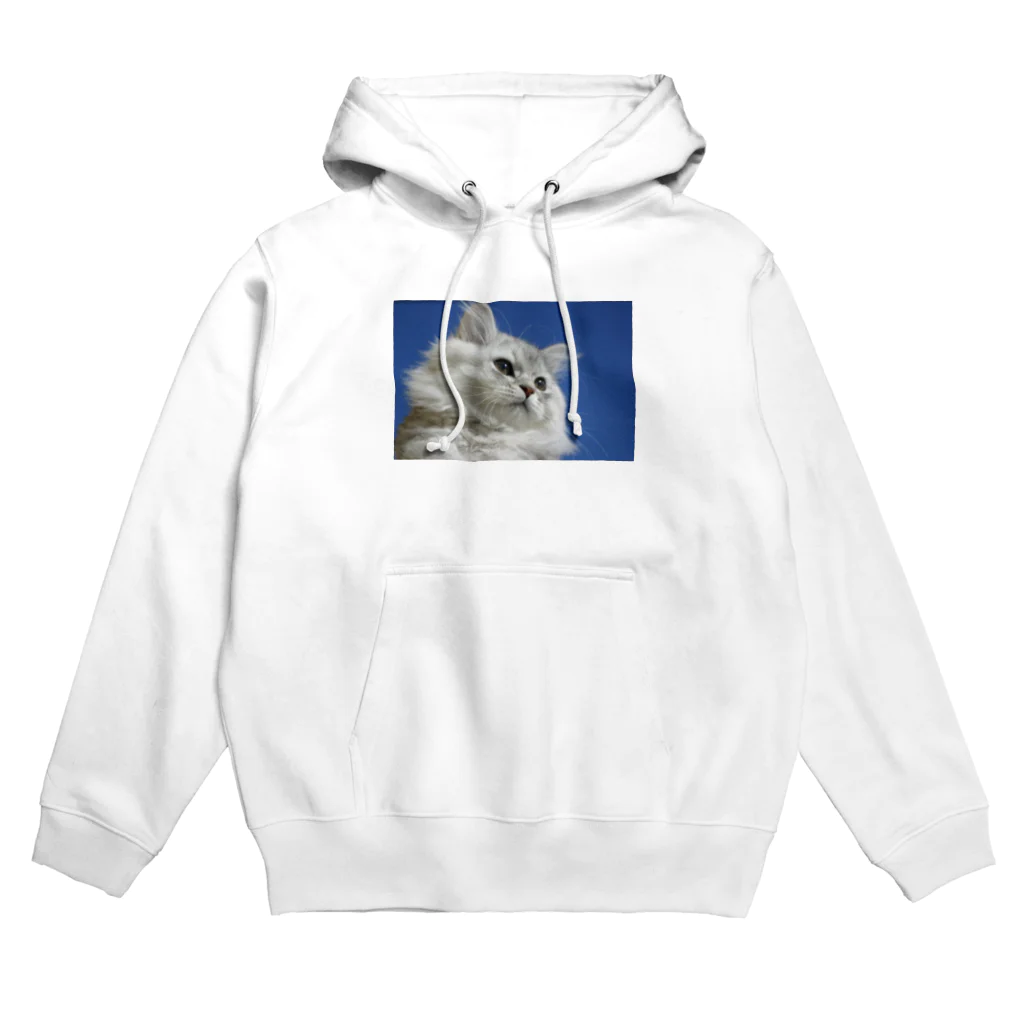 小林　zincのクラウド Hoodie