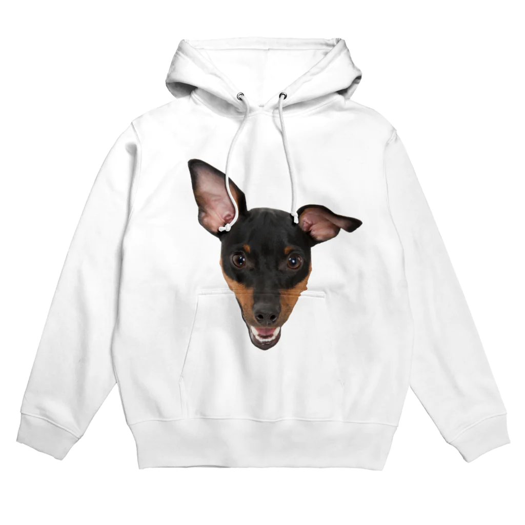 Lottiのミニピン　ミニチュアピンシャー　顔アップ Hoodie