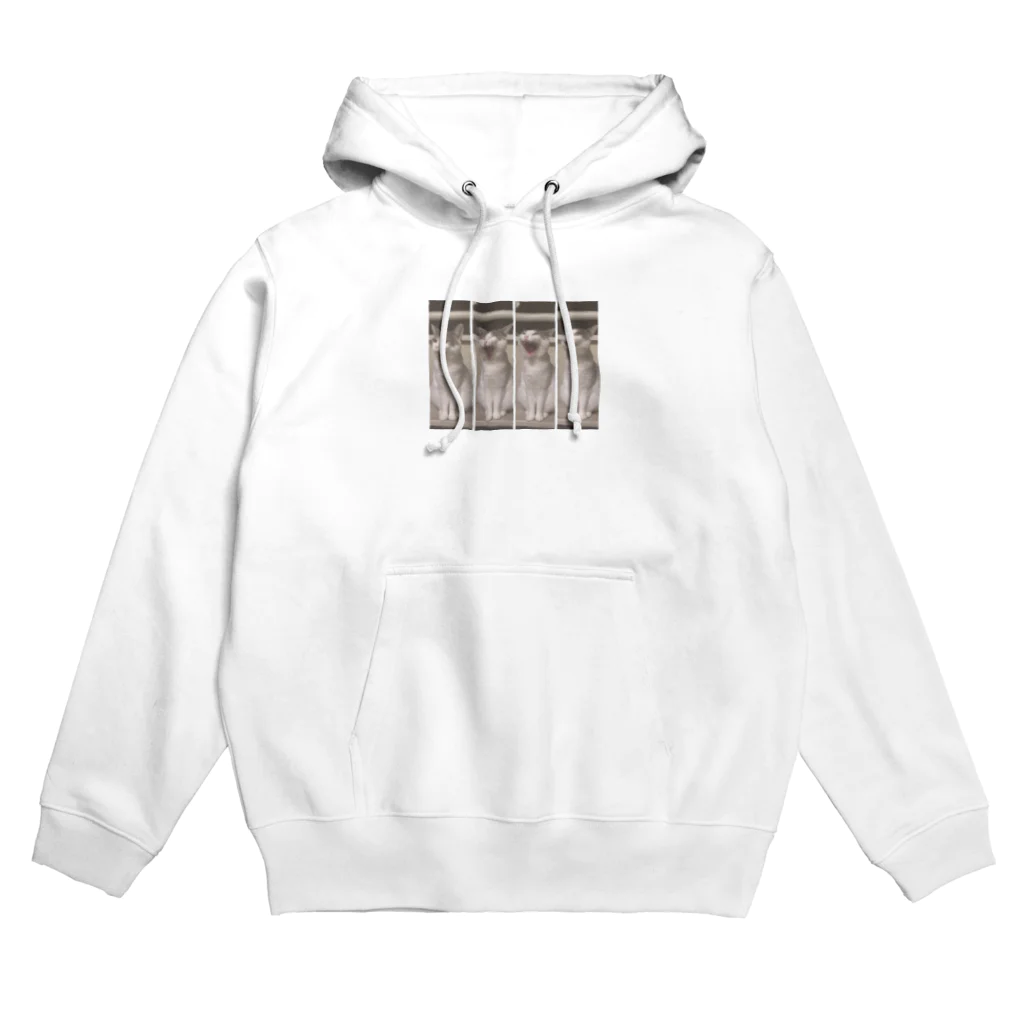 あおちゃんのこころえました Hoodie