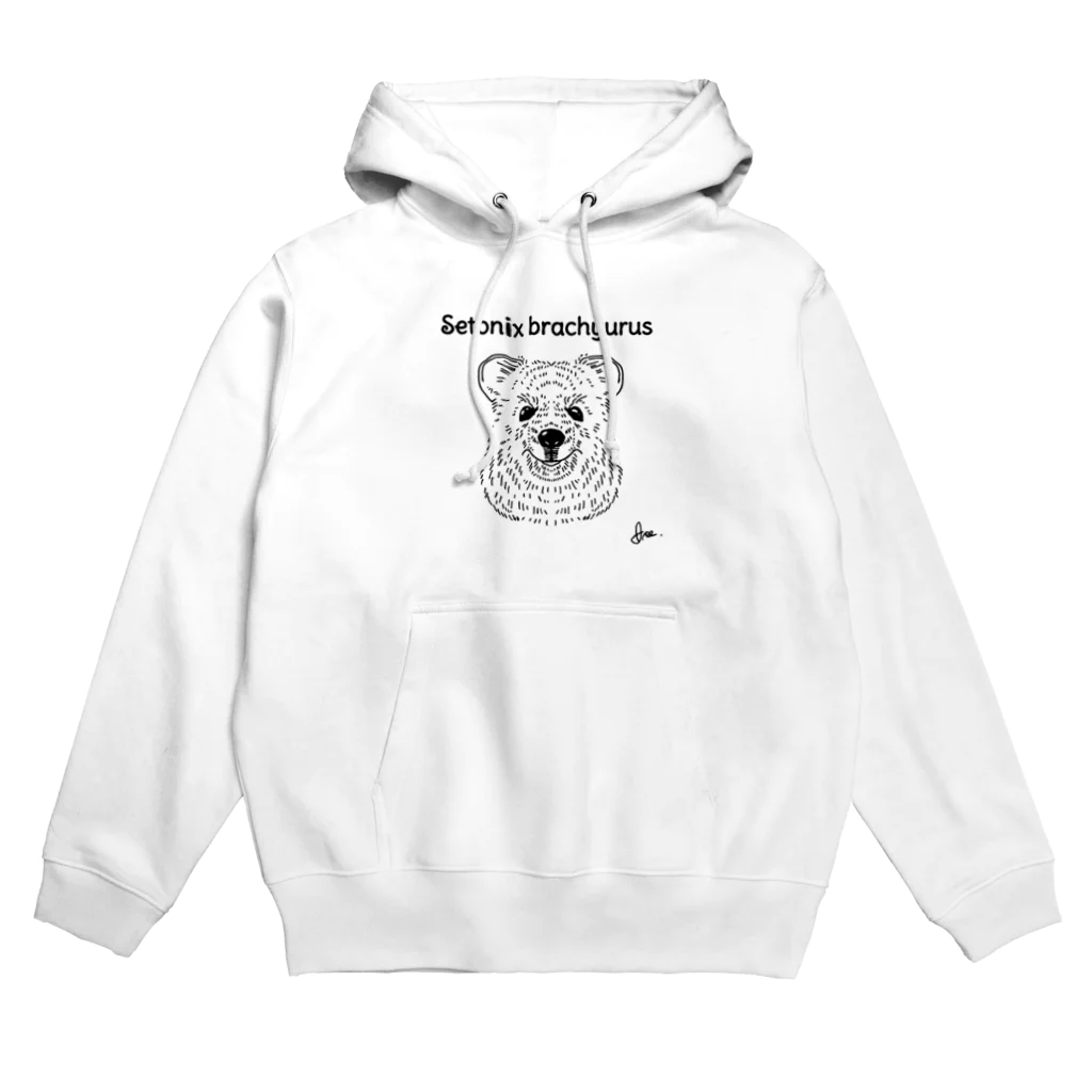 ▱個性の渋滞▱//storeのｸﾜｯｶﾜﾗﾋﾞくん Hoodie