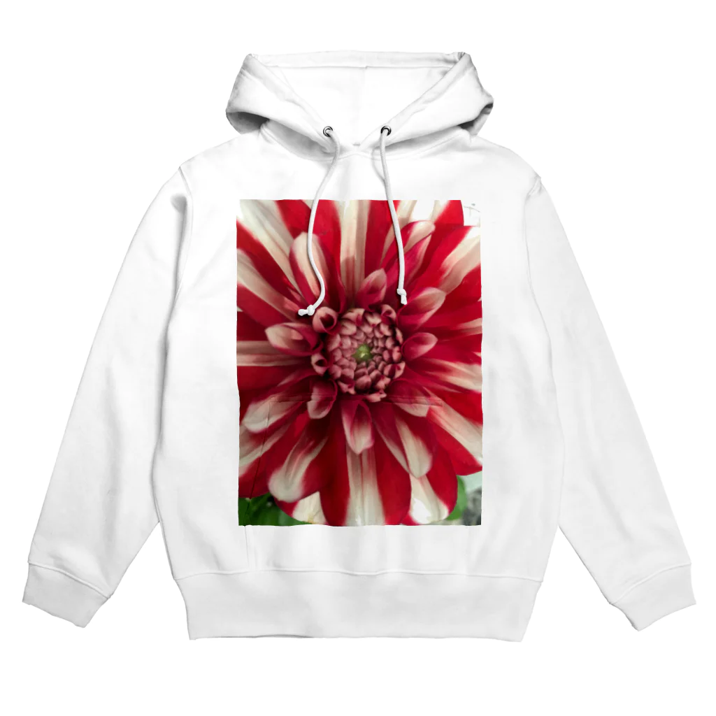 ikhouvanjouxxxxのbloom Hoodie