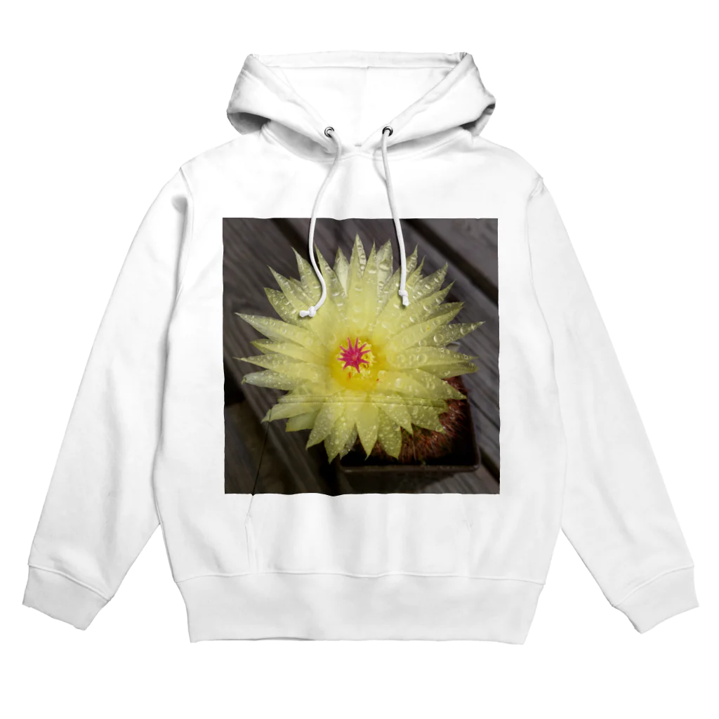 でおきしりぼ子の実験室のサボテンの花 Hoodie