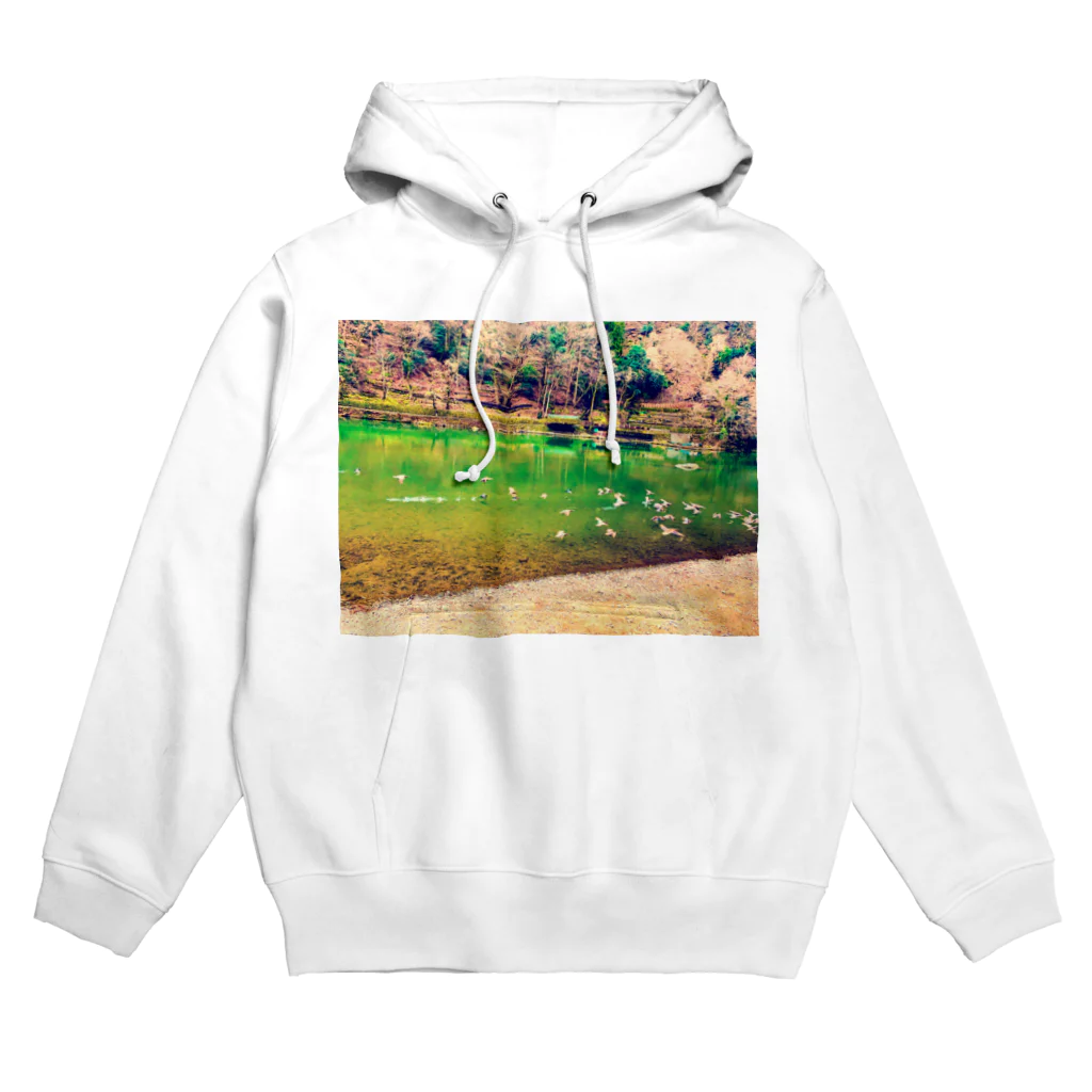 日本風景と自然風景の鳥の旅 Hoodie