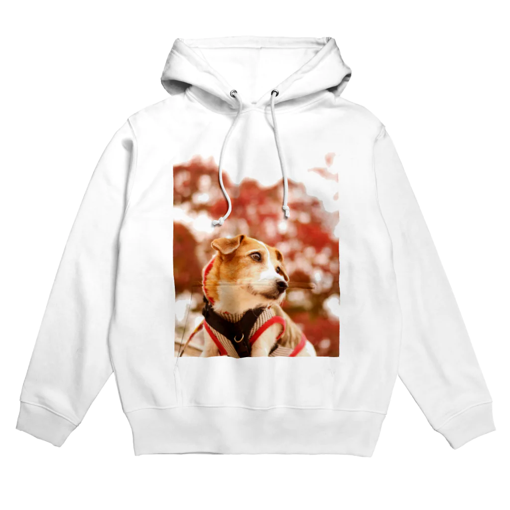 かえちゃんとその仲間達のkaemamaのジャックの楓 Hoodie