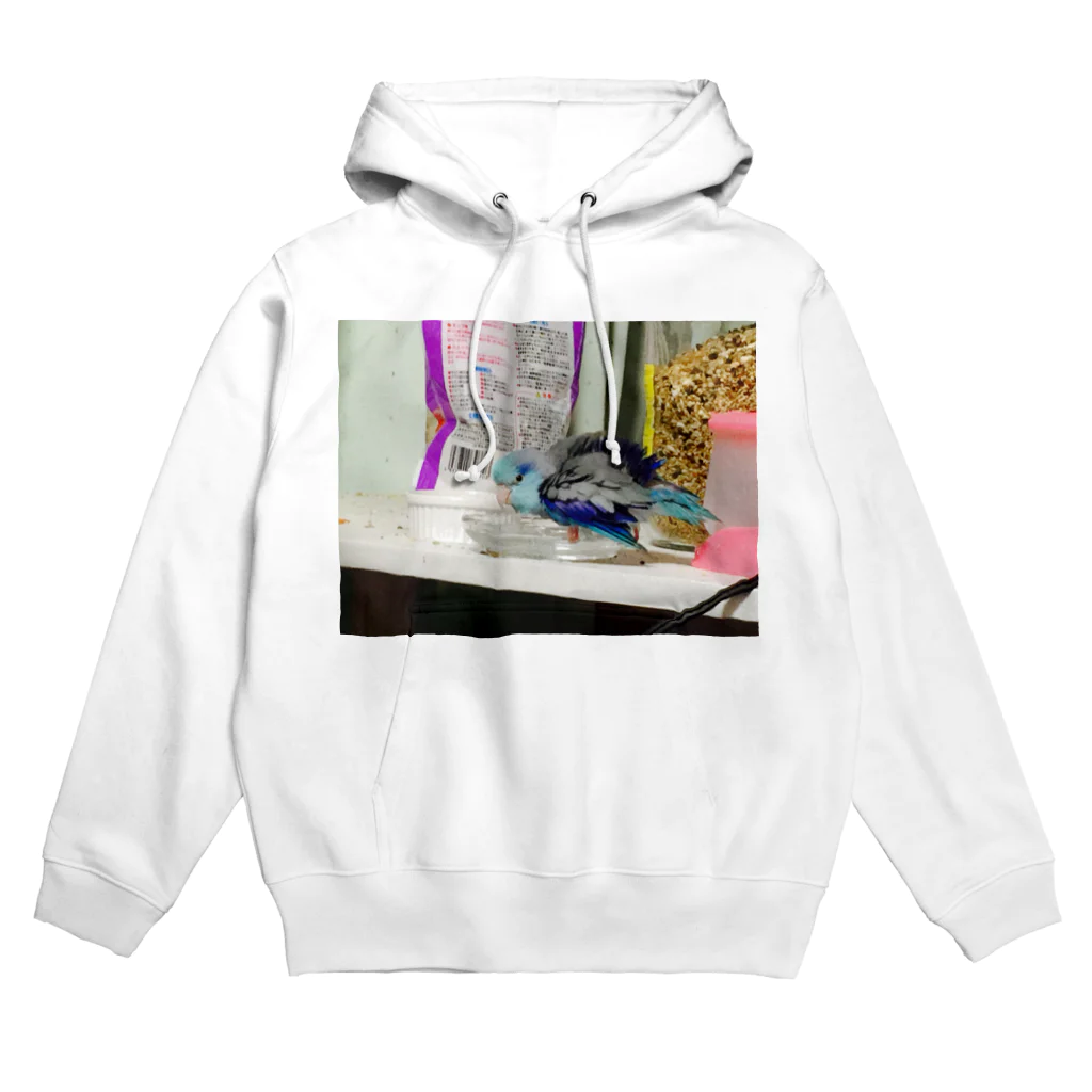 maryukoesのマメルリハインコ Hoodie