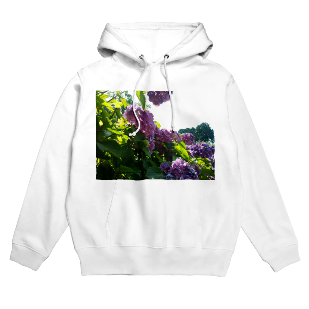 チャリンの梅雨の晴れ間 Hoodie