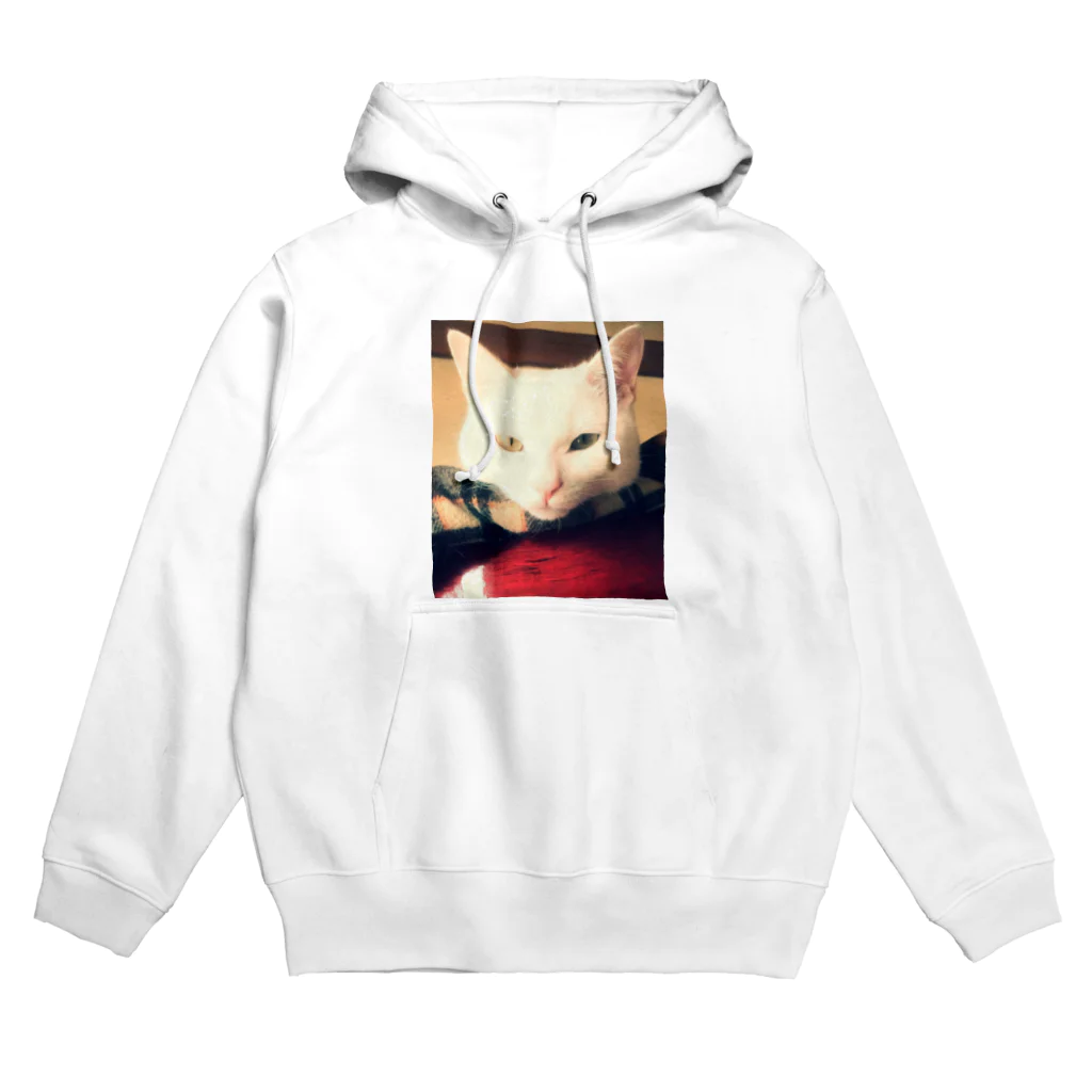 shippoの白猫ぎんくん Hoodie