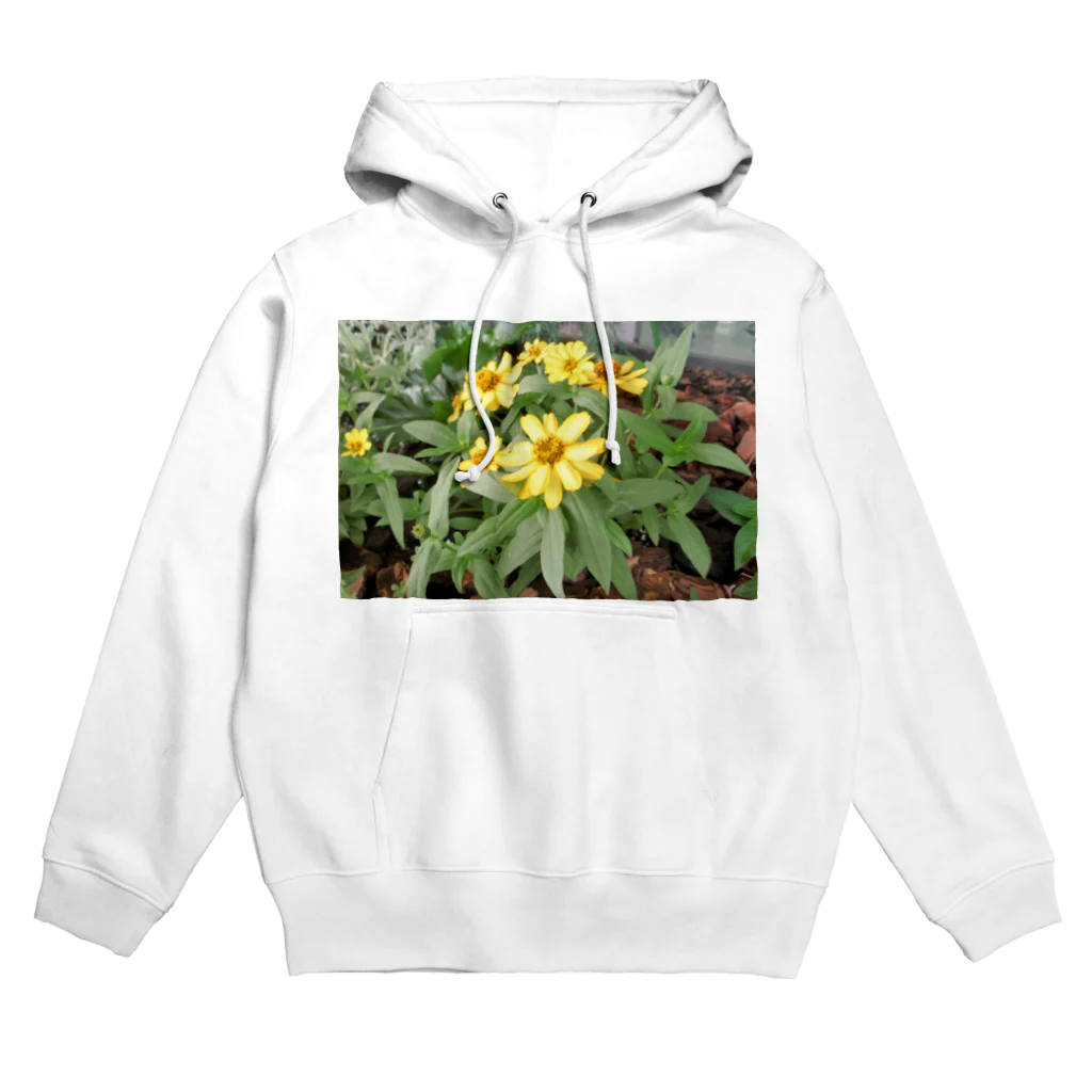 吉原教室の初夏の花壇 Hoodie