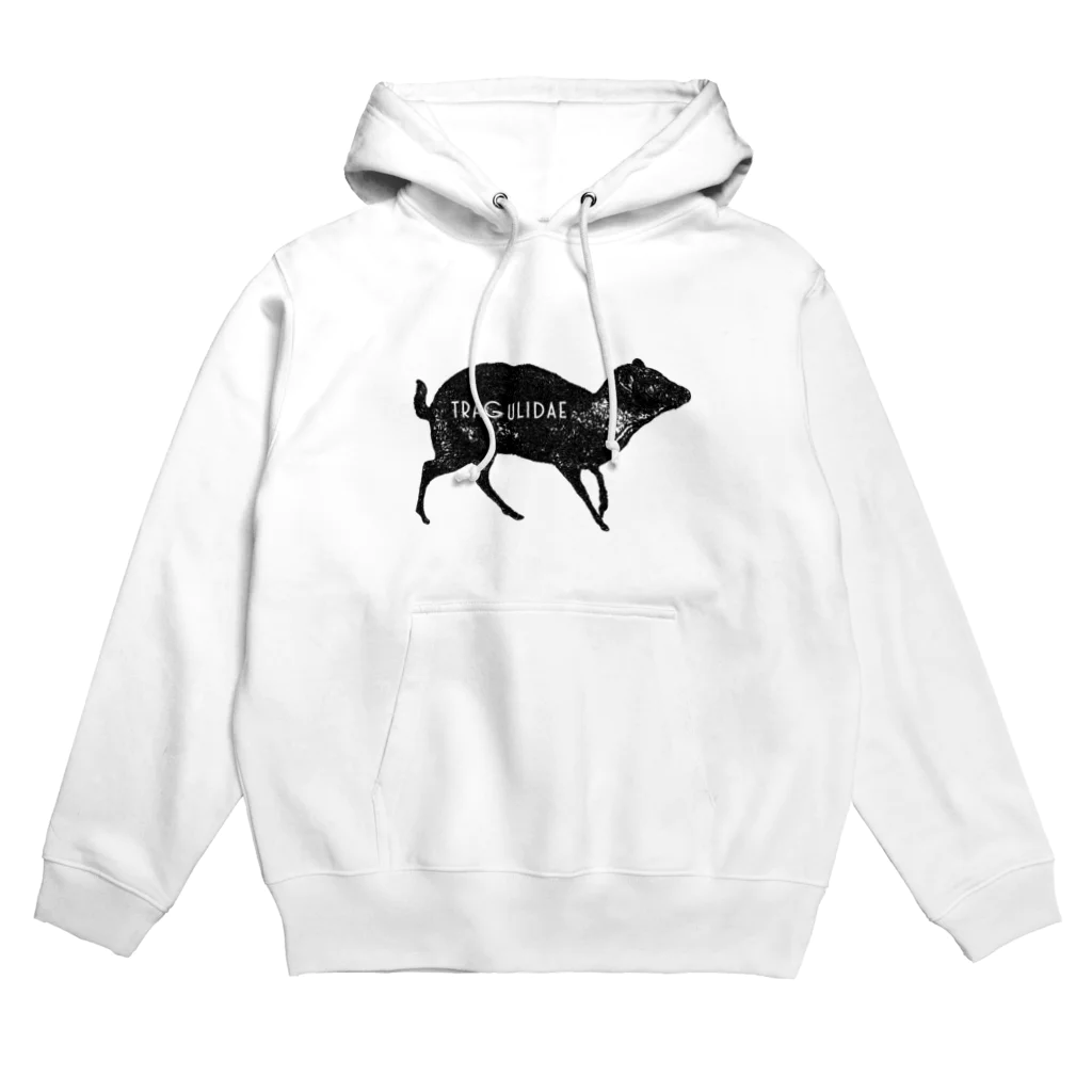 非ユークリッド幾何学を考える kodaisakanaのtragulidae Hoodie