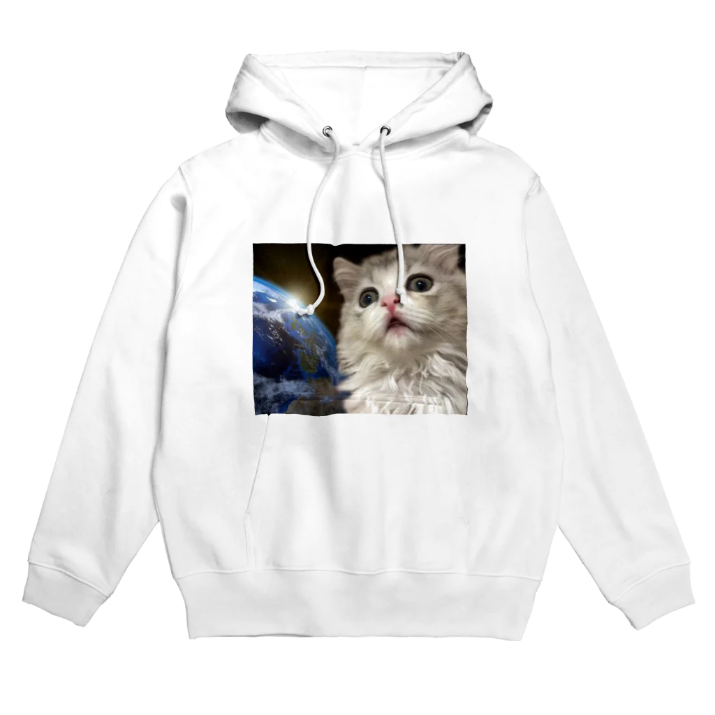 miochannn_の地球猫 Hoodie