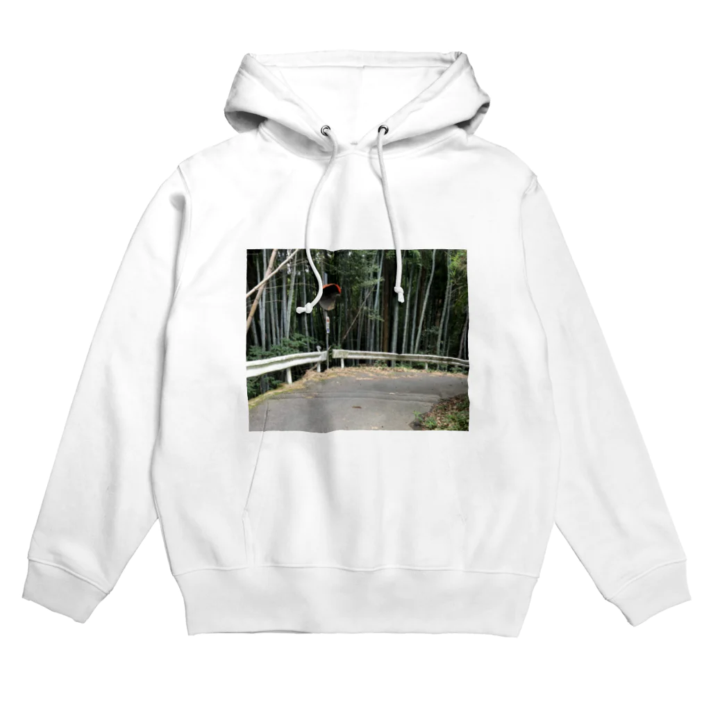 hina.の辺境 Hoodie