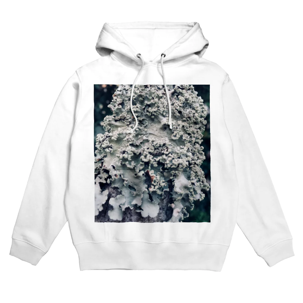 アトリエヱキパの地衣 Hoodie