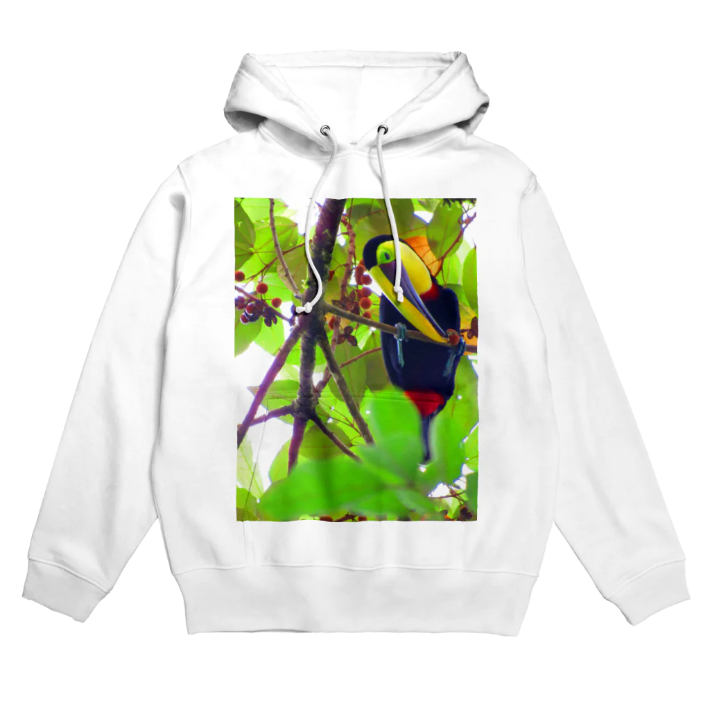 コスタリカの思い出のトロゴン Hoodie