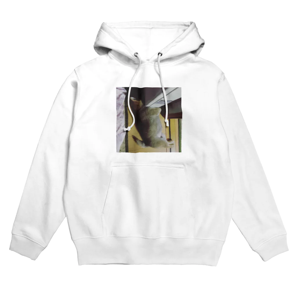 こはるちゃん(柴犬の女の子、2020年6月生まれ)のこはるちゃんです。 Hoodie