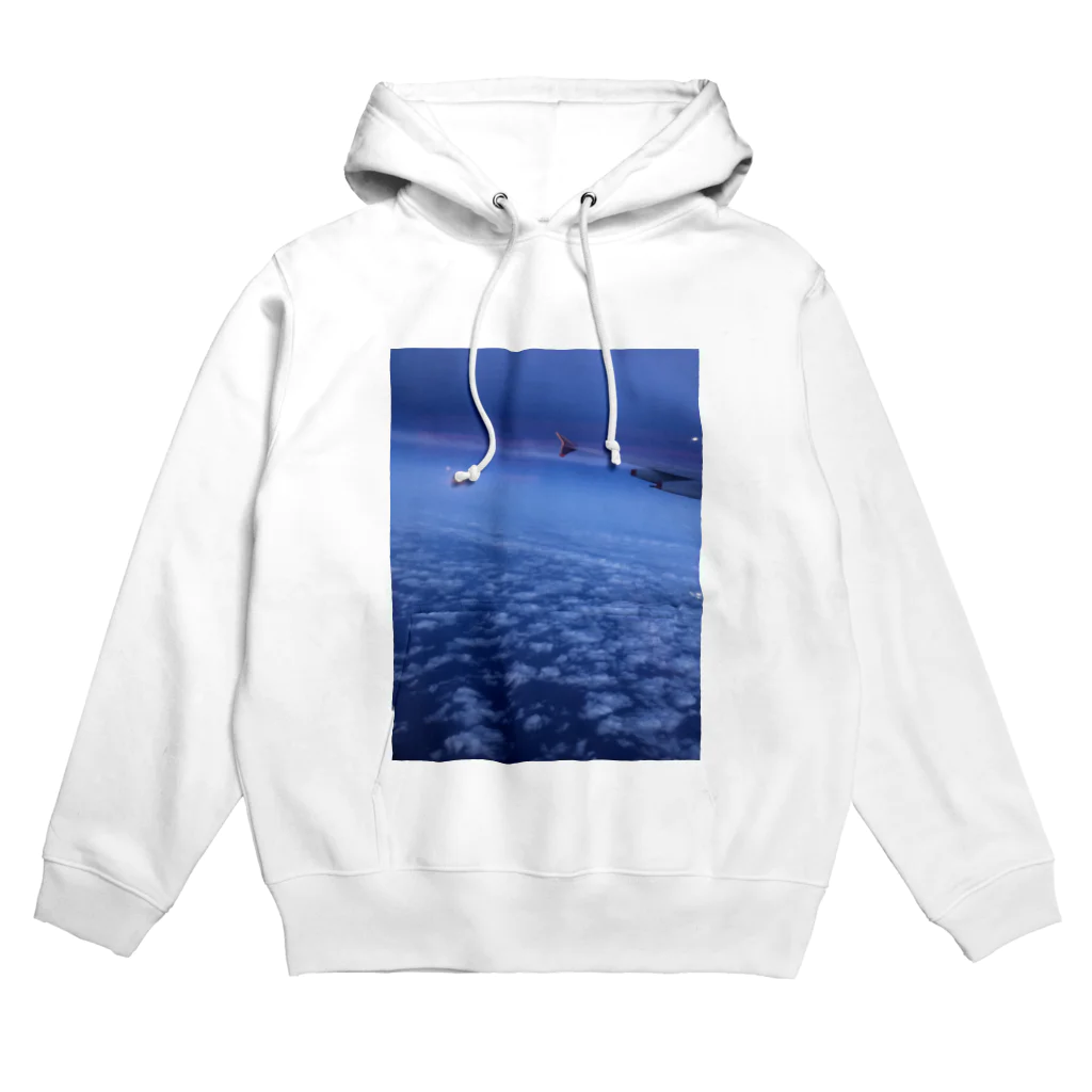 8177の空からの景色 Hoodie