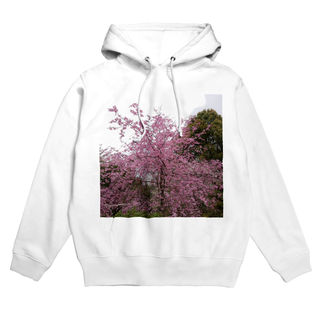 UCHISUKEのさくら柄 パーカー Hoodie