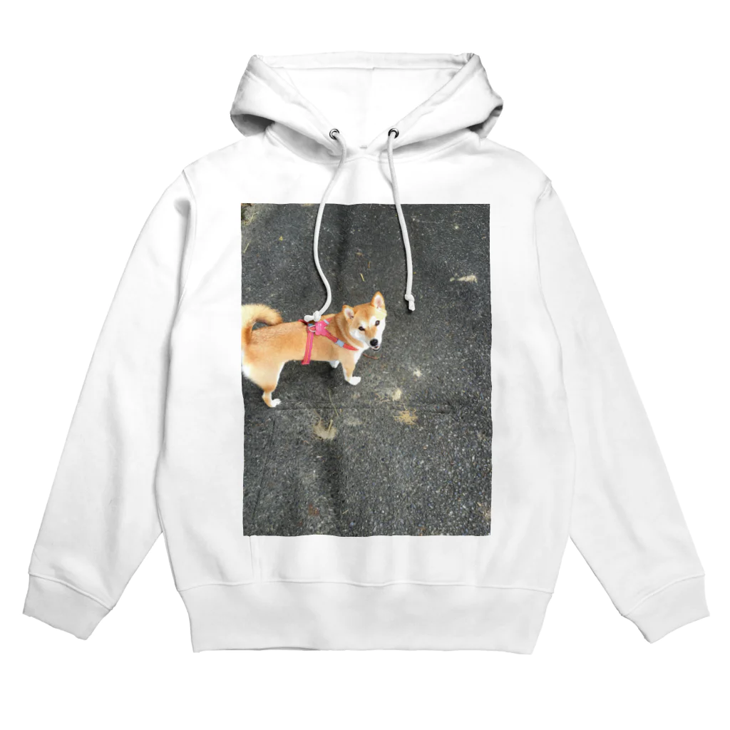 華柴の華柴シリーズ Hoodie