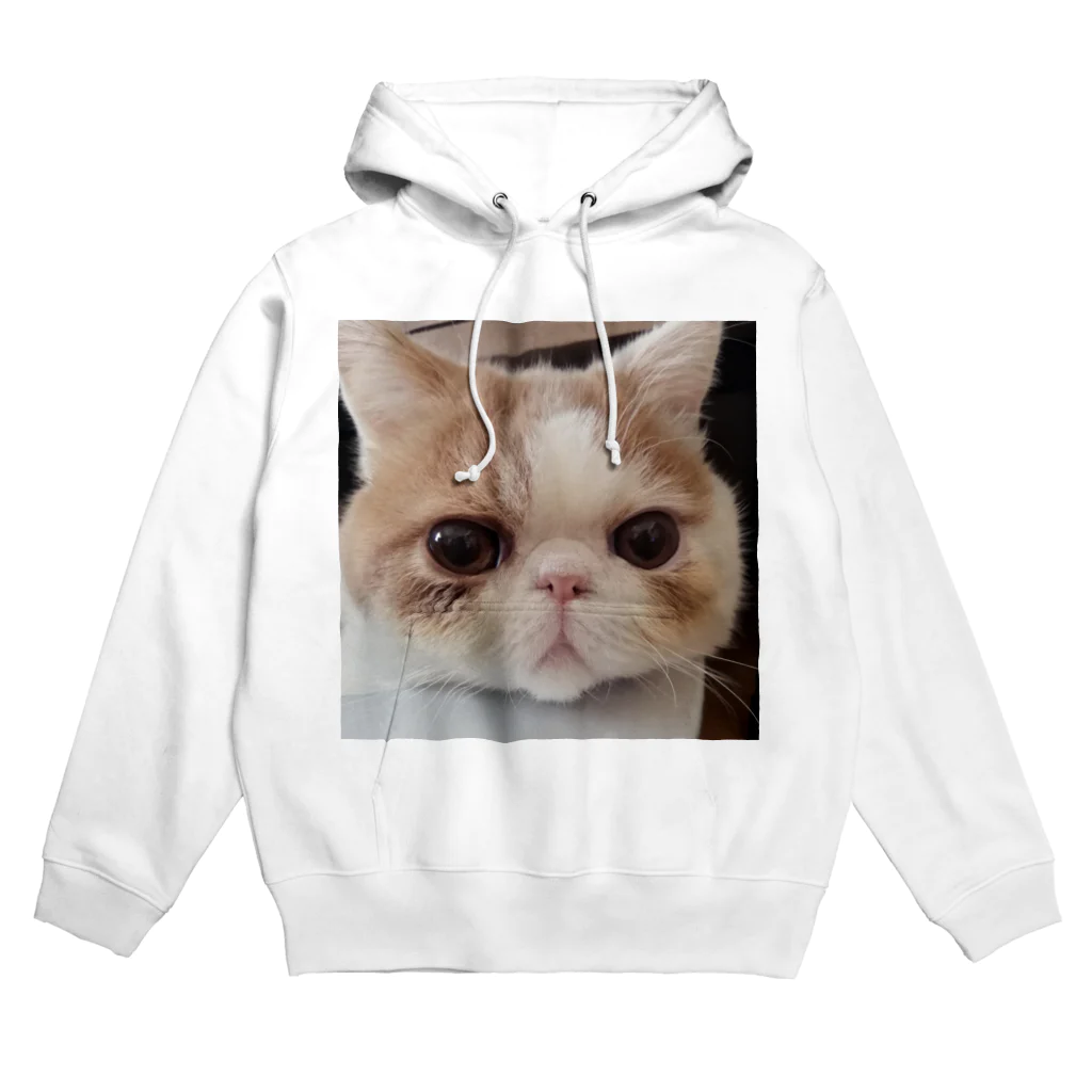 エキゾのアルのエキゾのアルくん Hoodie