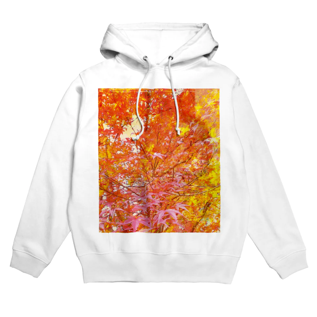 saki315の秋色の紅葉いっぱい Hoodie