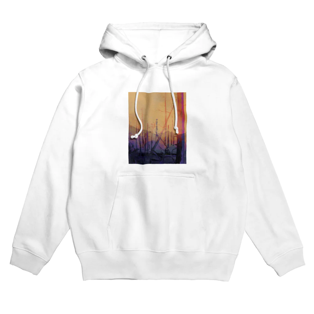 ナカジマアマネのECOIST② Hoodie