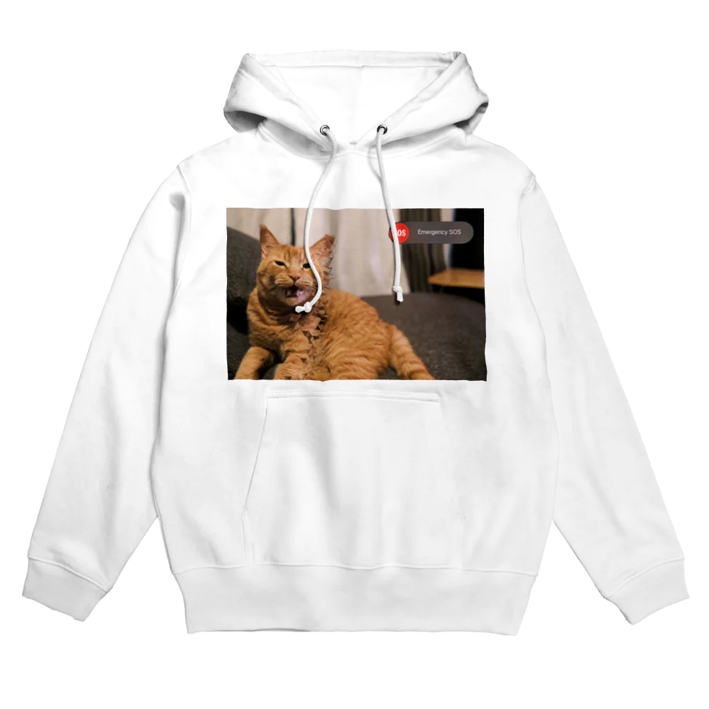 オラのネッコを見てくれのemergency cat Hoodie