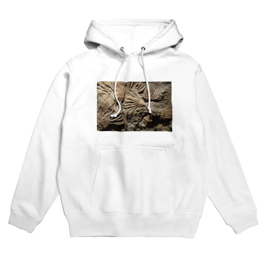 神田🅙のカクトクリヌス Hoodie