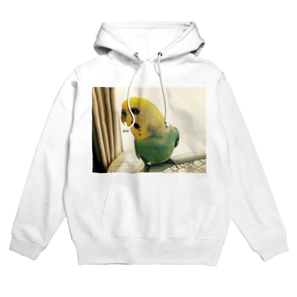 くぼどうぶつえんハジマザいきたかったのいんこ3 Hoodie