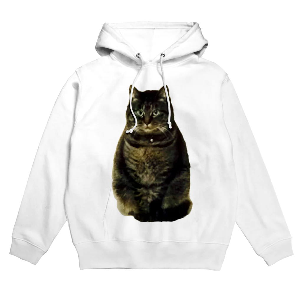 まるねこつくばのまるねこつくば透過Ver. Hoodie