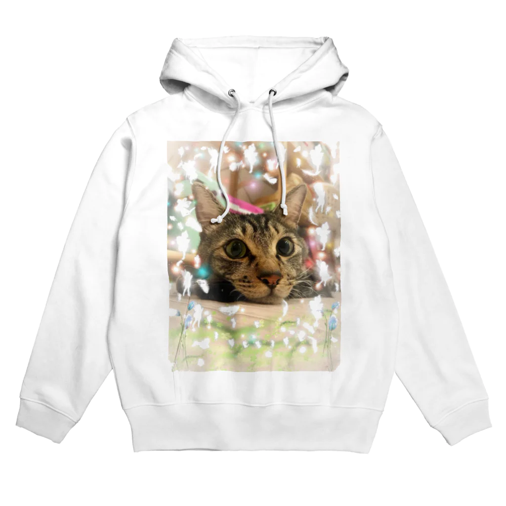 猫しゃちょうのキジトラのトラオくんinゆぽんた家 Hoodie