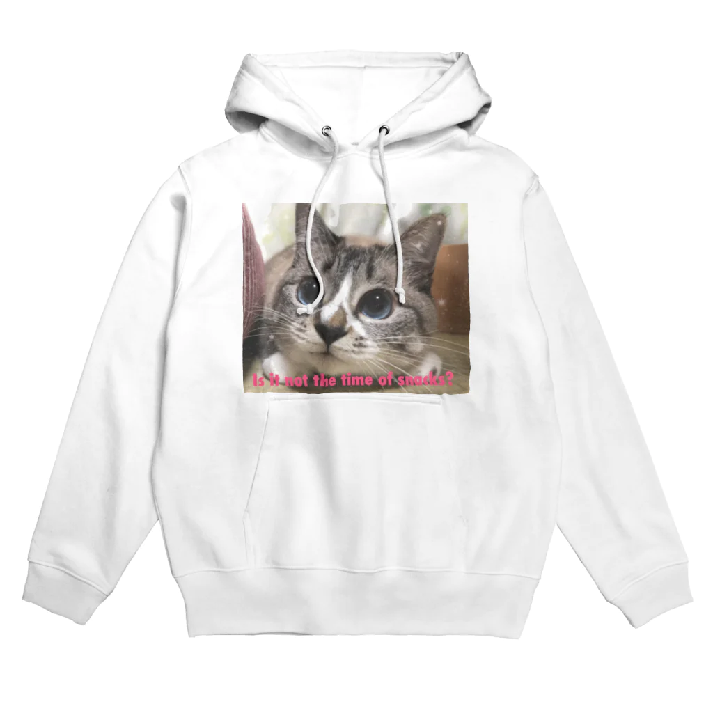 猫とか虫とかのおやつまだでちか？ Hoodie