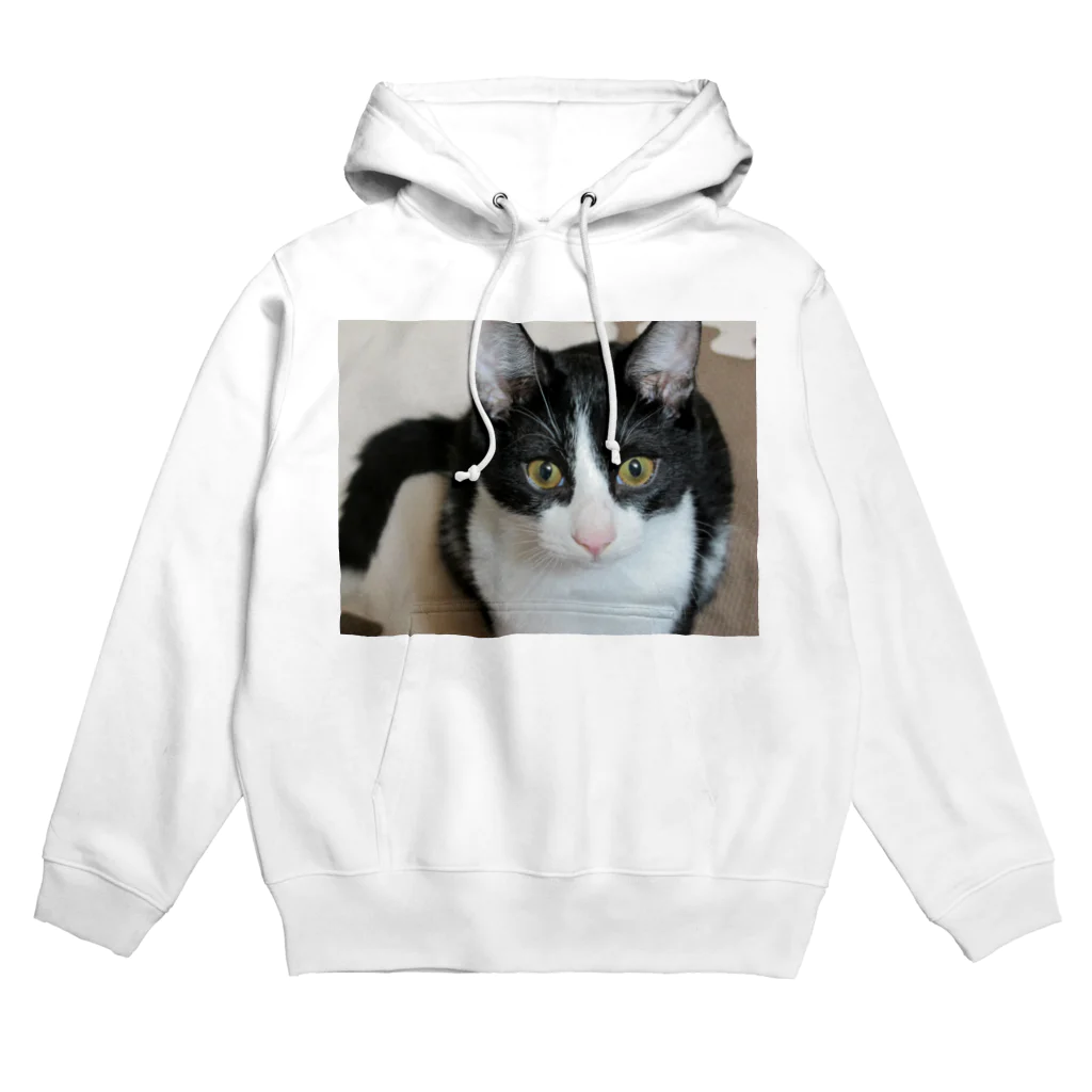 ハチワレ猫とらくがきの我が家のサン Hoodie