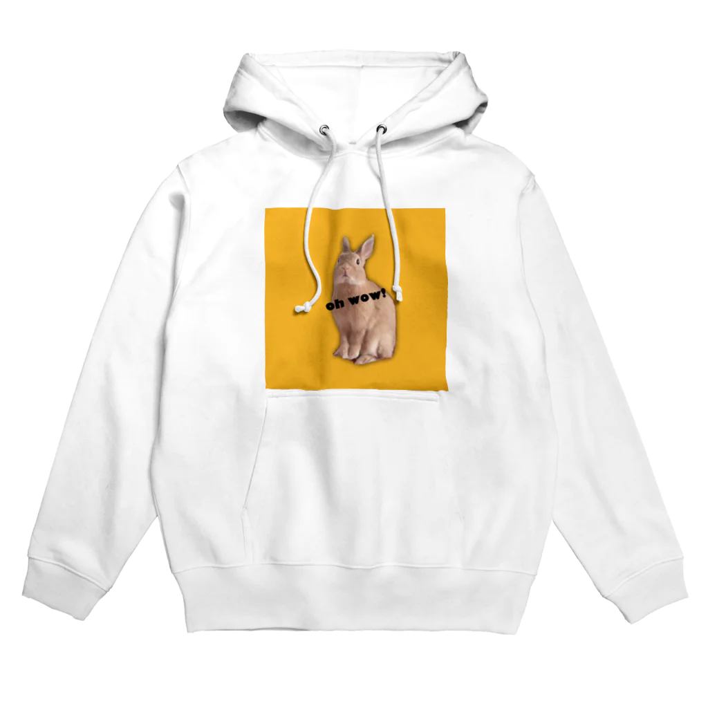 RAVI the rabbitのRAVI the rabbit Hoodie