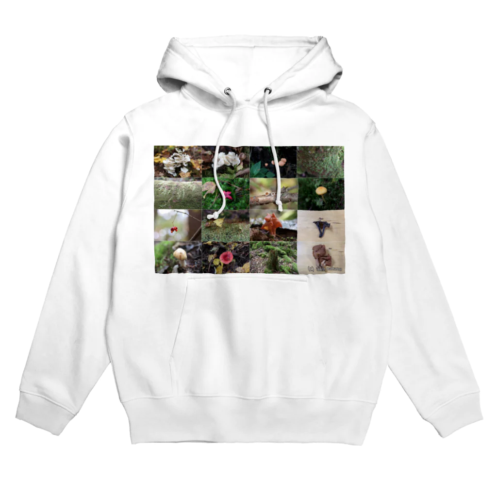 Aiko Nakanoの秋の森を行く Hoodie