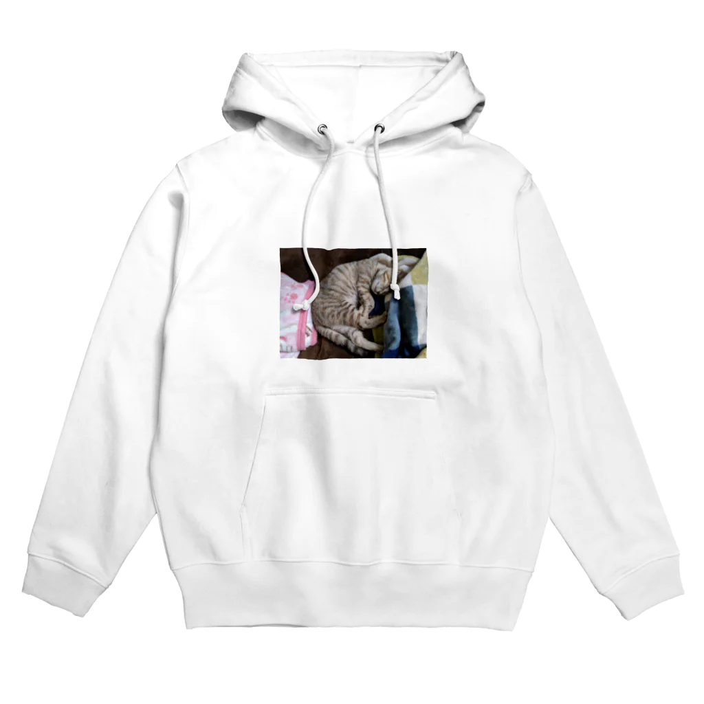 PIECE OF PEACEの保護猫のぞみ里親募集中 Hoodie