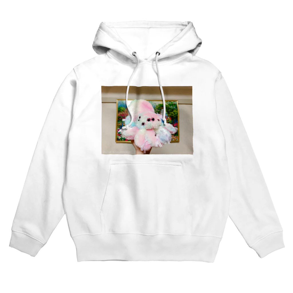 にくもちの赤ちゃん🧸のレインボーハエトリグモちゃん Hoodie