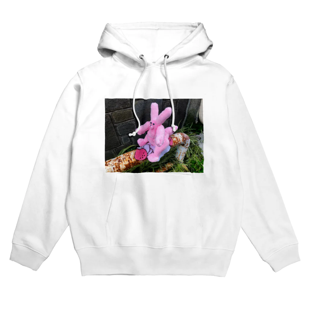 にくもちの赤ちゃん🧸のうさちゃん恐竜の赤ちゃん ぬいぐるみ  Hoodie