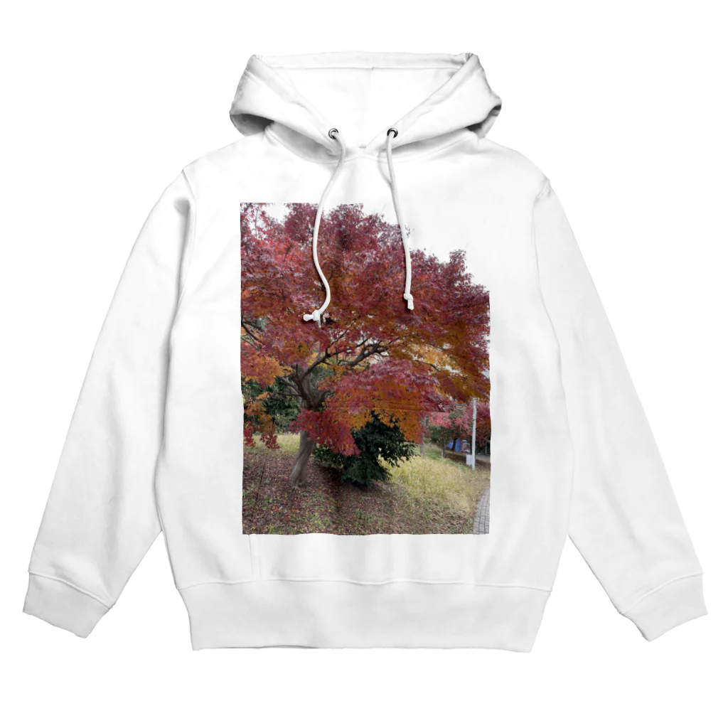 hi_kunの秋っぽさが残る冬part2 Hoodie