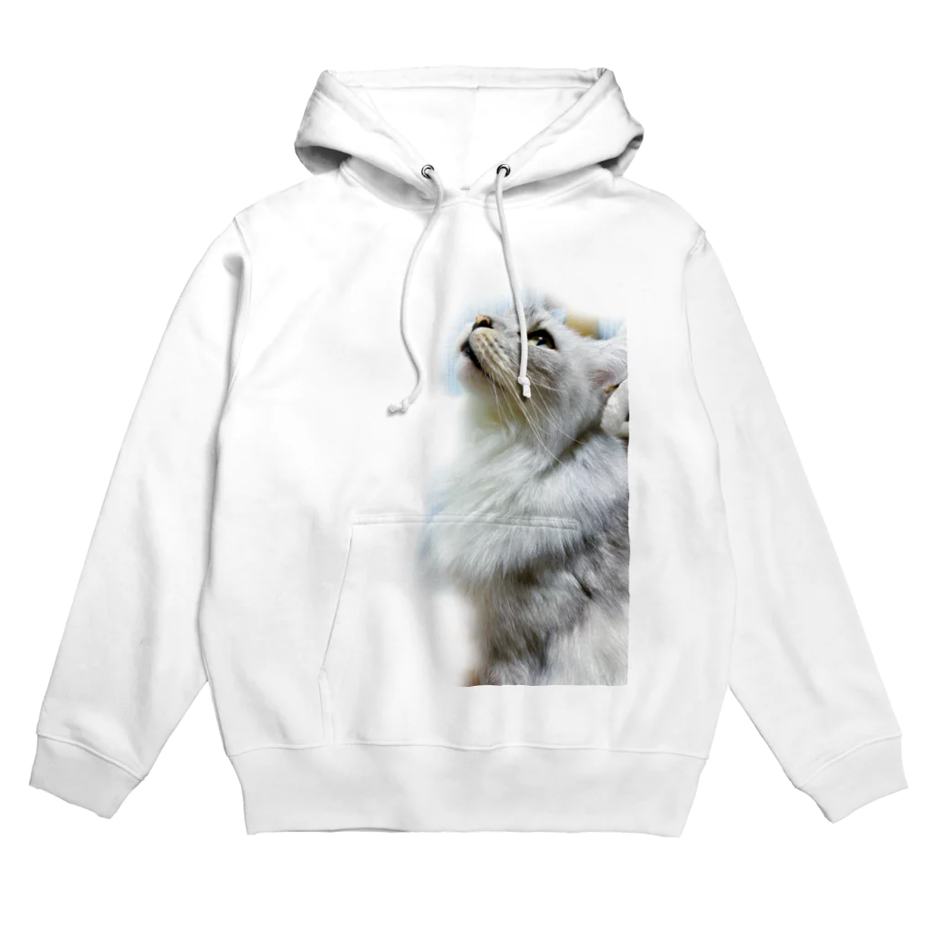 NikuMoyasiのムシをみつけたネコ Hoodie