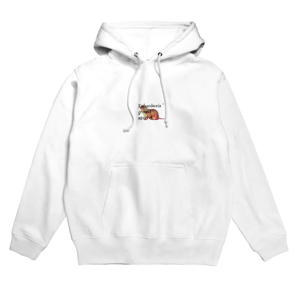 CandyのCandyグッズ Hoodie