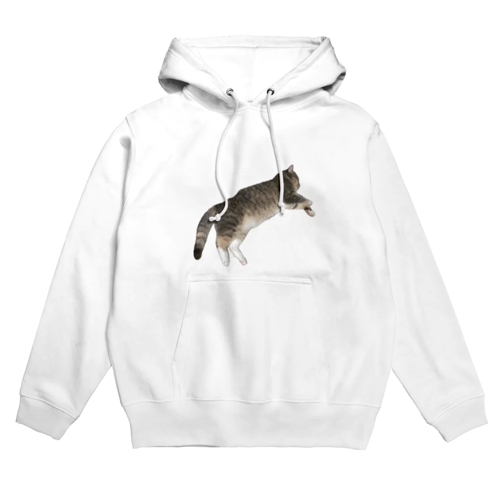 ねこのパピコのパピコ（某ブランドのすがた） Hoodie